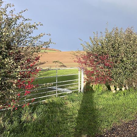 Poachers Hut - Captivating 1-Bed Cottage Shorwell Eksteriør billede
