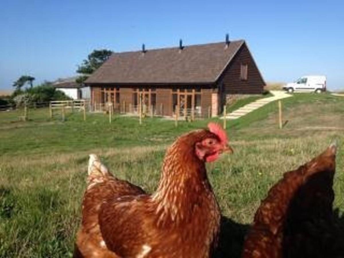 Poachers Hut - Captivating 1-Bed Cottage Shorwell Eksteriør billede