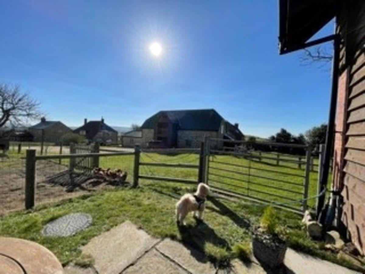 Poachers Hut - Captivating 1-Bed Cottage Shorwell Eksteriør billede