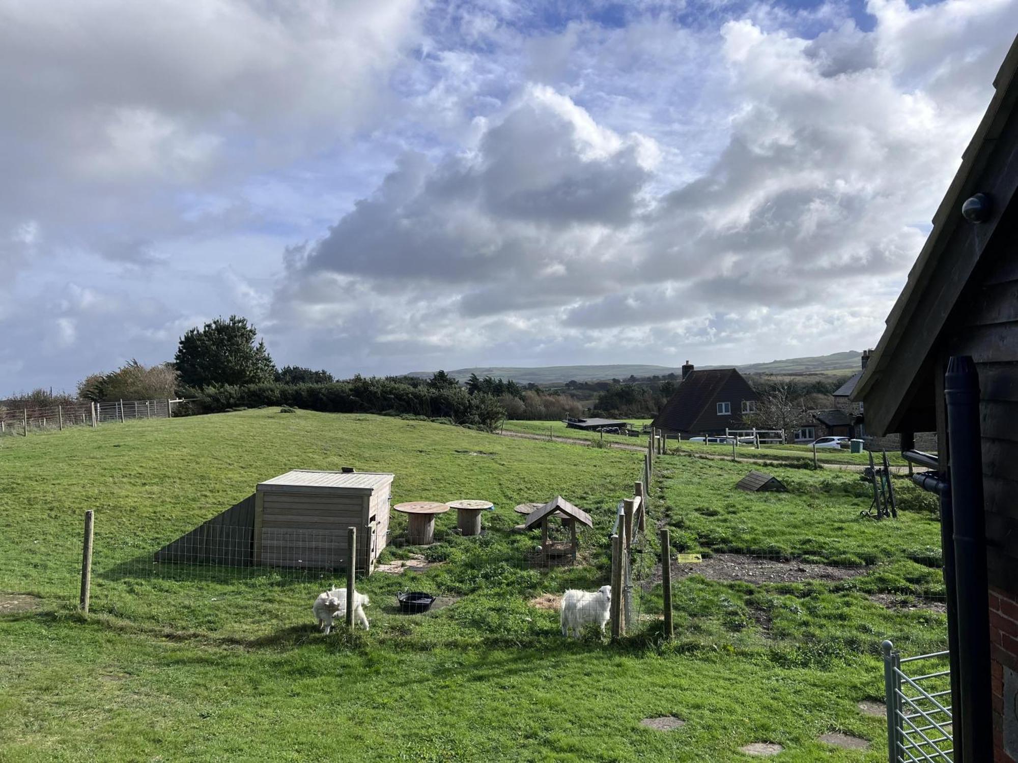 Poachers Hut - Captivating 1-Bed Cottage Shorwell Eksteriør billede