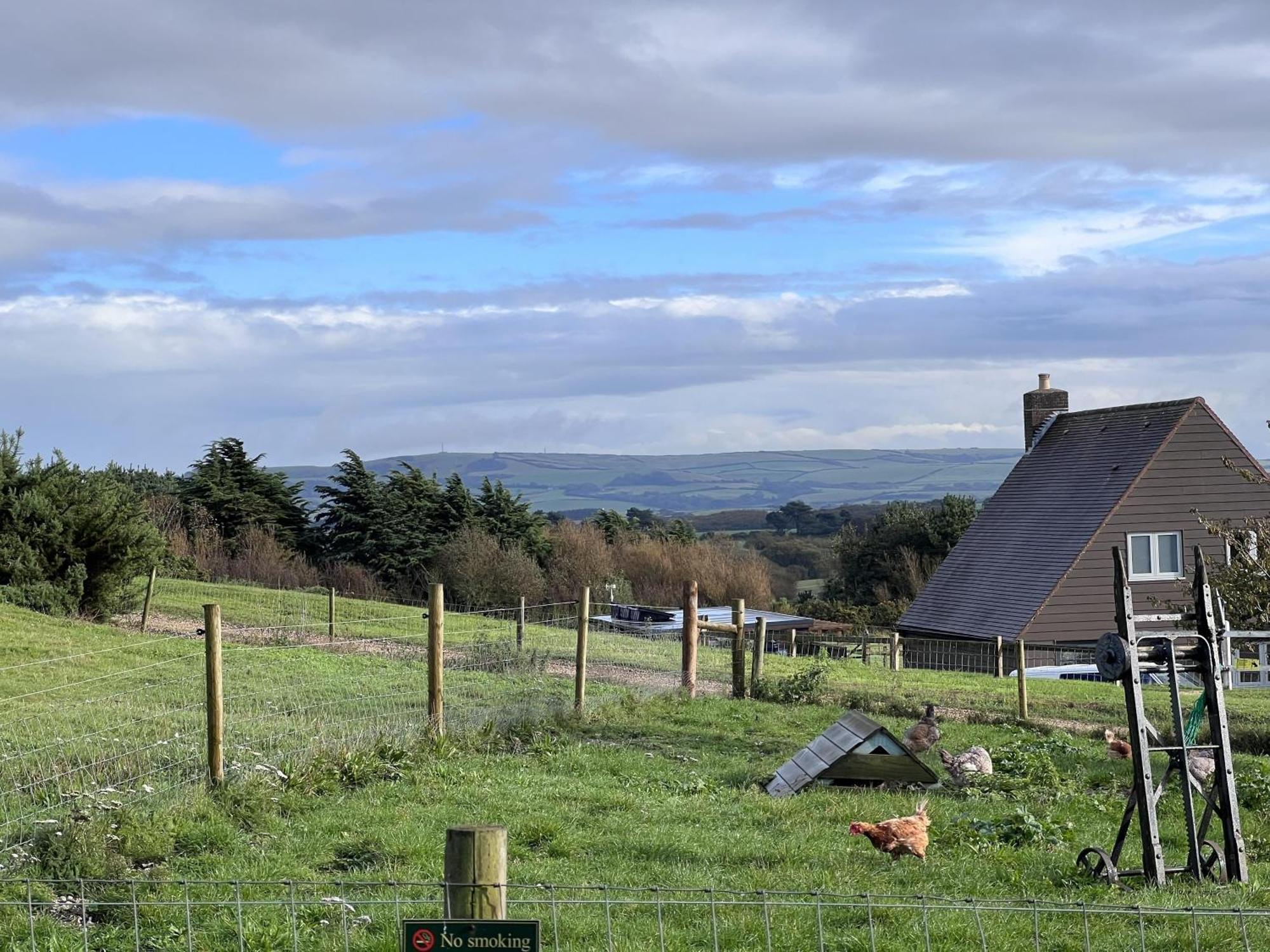 Poachers Hut - Captivating 1-Bed Cottage Shorwell Eksteriør billede