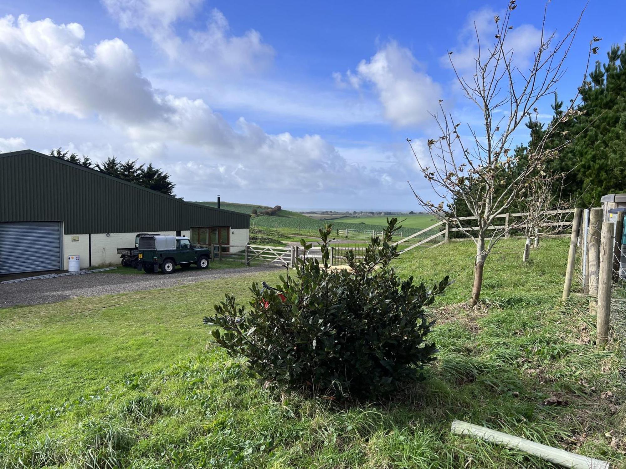 Poachers Hut - Captivating 1-Bed Cottage Shorwell Eksteriør billede
