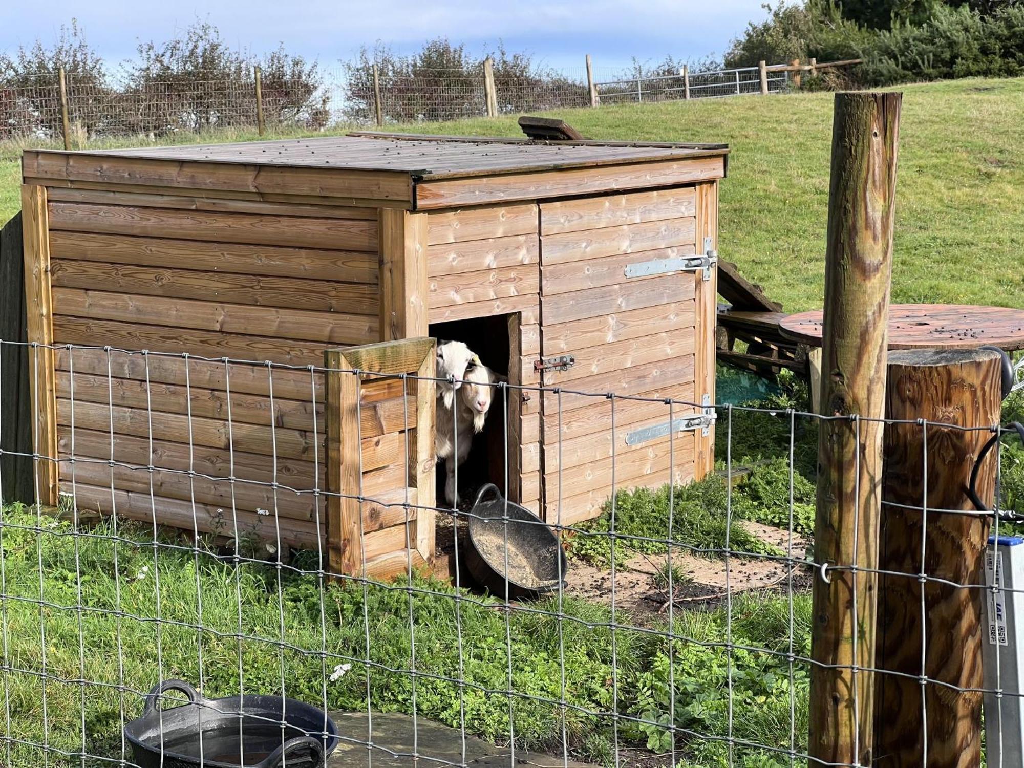 Poachers Hut - Captivating 1-Bed Cottage Shorwell Eksteriør billede